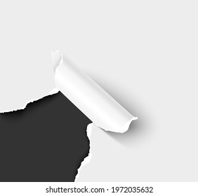 Torn paper with curl. White paper sheet with torn hole corner over black background. Realistic vector paper texture concept for black friday sale