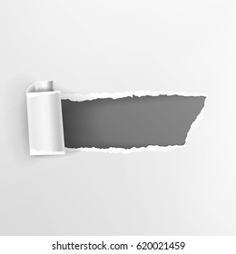 Torn Paper With Curls Vector. Realistic Paper Hole.
