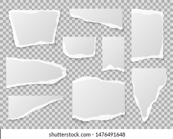 Torn Paper. Different Shapes Of Papers Scraps, Textured Memo Sheets. Grainy Crumpled Ripped Edge Strips, Blank Page. Vector Pieces Squares Collection Template