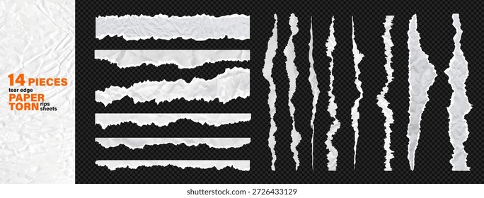 Divisor de papel rasgado y colección de elementos de Anuncio. Cuenta con textura arrugada reciclada, borde de corte irregular, fondo blanco limpio. Ilustración vectorial Clipart Paquete kit en como transparente png bg