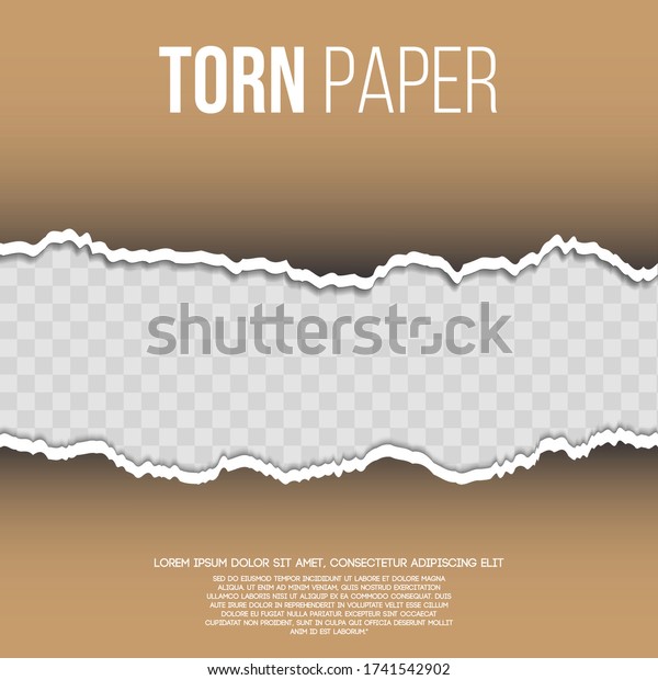 torn paper up and down. Vector template paper\
design. Eps10