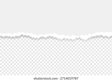 Textura realista de la tira Horizontal del borde del papel rasgado con el borde blanco dentado en fondo transparente
