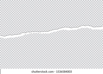 Torn paper edge isolated on transparent background - Vector illustration