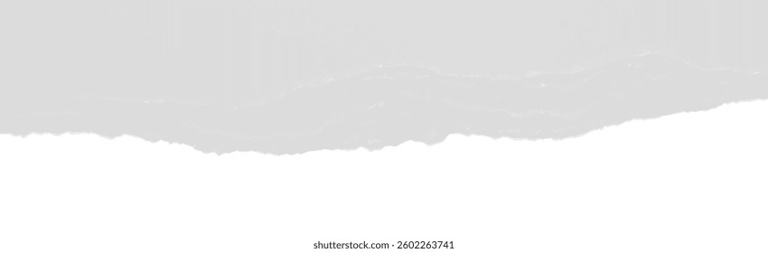 Torn paper edge isolated on transparent background. Piece of ripped old gray paper or cardboard