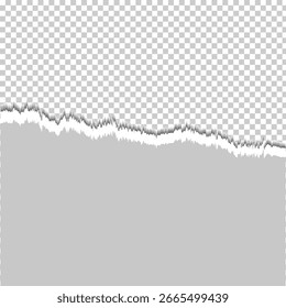 Torn Paper Edge on Transparent Background