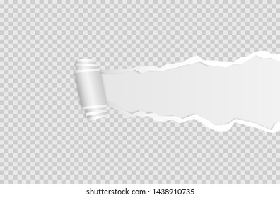 torn paper edge. Ripped squared horizontal white paper strips. Vector illustration EPS10.