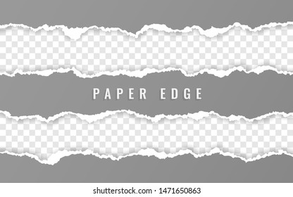 Torn paper edge. Ripped squared paper strips. Vector illustration.