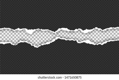 Torn paper edge. Ripped squared paper strips. Vector illustration.