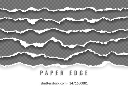 Torn paper edge. Ripped squared paper strips. Vector illustration.