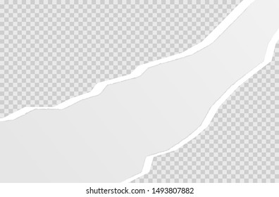 torn paper edge. ripped squared horizontal white paper strips. vector illustration EPS10.