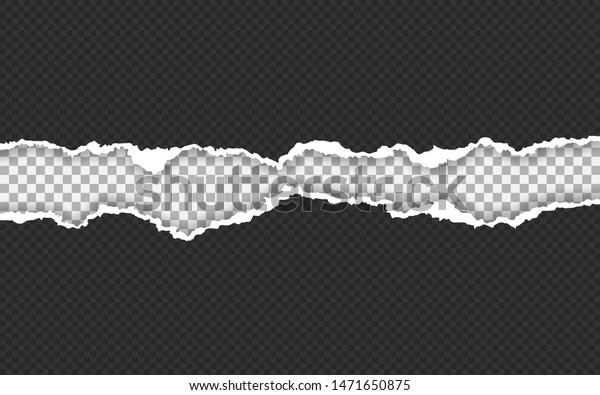 Torn paper edge. Ripped squared paper\
strips. Vector\
illustration.