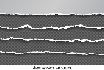 Torn paper edge. Torn paper stripes. Ripped squared horizontal paper strips. Vector illustration.