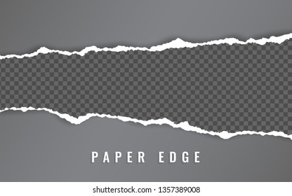 Torn paper edge. Torn paper stripes. Ripped squared horizontal paper strips. Vector illustration.