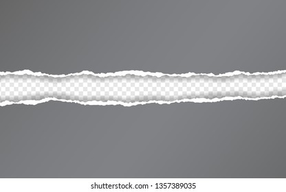 Torn paper edge. Torn paper stripes. Ripped squared horizontal paper strips. Vector illustration.