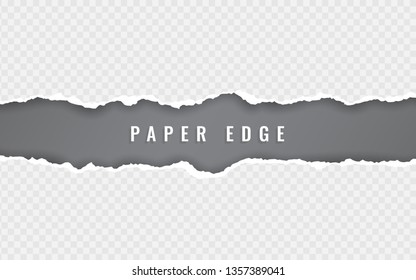 Torn paper edge. Torn paper stripes. Ripped squared horizontal paper strips. Vector illustration.