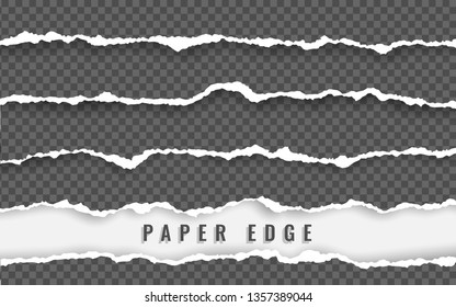 Torn paper edge. Torn paper stripes. Ripped squared horizontal paper strips. Vector illustration.