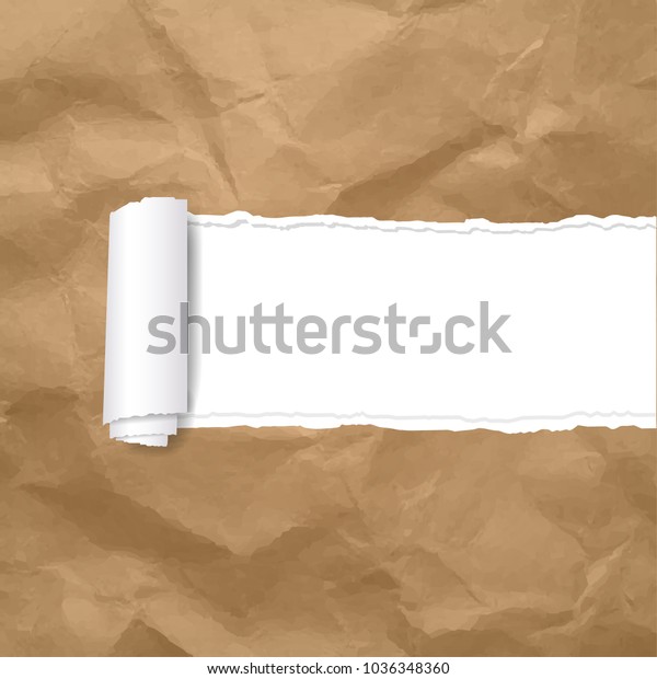 Torn Paper Edge Transparent Background With\
Gradient Mesh, Vector\
Illustration