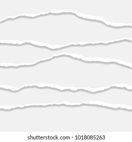 Torn Paper Edge. Vector illustration