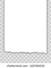 torn paper edge vector illustration isolated on transparent background
