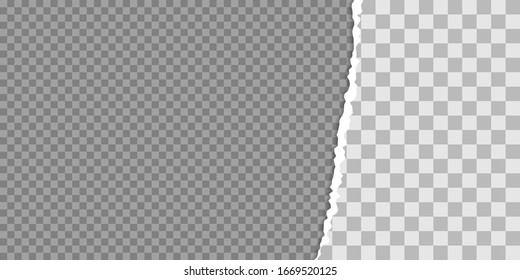 Torn Paper Edge Vector Illustration. Teared, Ripped Photo, Sheet Or Page Texture. Collage Of 2 Images.