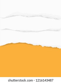 Torn paper edges for background. Ripped paper texture background with area for copy space. Vector illustration.