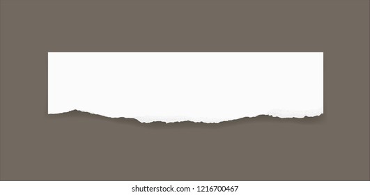 Torn paper edges for background. Ripped paper texture background with area for copy space. Vector illustration.