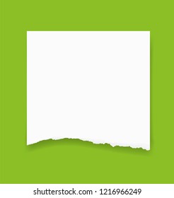 Torn paper edges for background. Ripped paper texture background with area for copy space. Vector illustration.