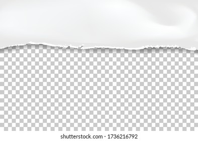 Torn paper edges for background. Ripped paper texture on transparent background. Vector illustration.