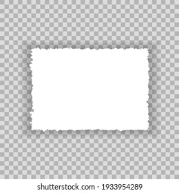 Torn paper edges for background. Ripped paper texture on transparent background. Vector illustration.