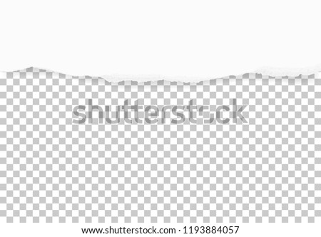 Torn paper edges for background. Ripped paper texture on transparent background. Vector illustration.