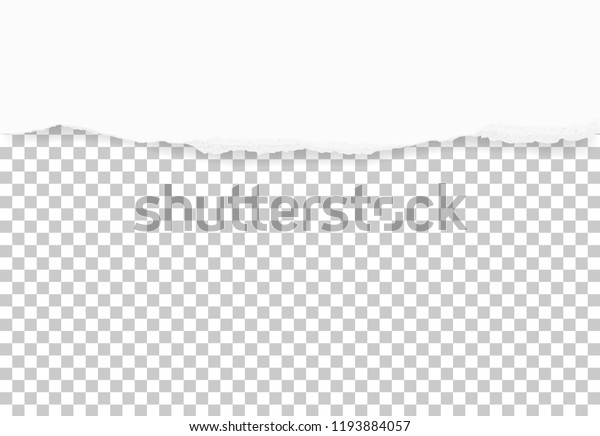 Torn paper edges for\
background. Ripped paper texture on transparent background. Vector\
illustration.