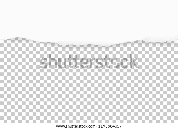 Torn paper edges for
background. Ripped paper texture on transparent background. Vector
illustration.