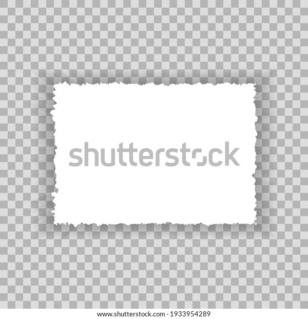 Torn paper edges for
background. Ripped paper texture on transparent background. Vector
illustration.