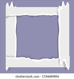 torn paper edges, Background seamless horizontally texture, vector isolated in space for advertising, banner of web page, border and header, print concept of illustration