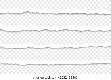 Image vectorielle d'élément de conception de bords de papier déchirés