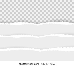 Torn paper edges, horizontally. Vector illustration.