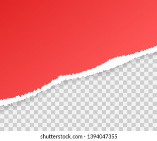 Torn paper edges, horizontally. Vector illustration.