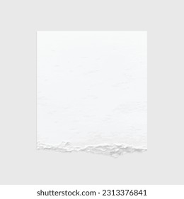 Torn paper edges. Ripped paper texture. Paper tag. White paper sheet for background with clipping path. Vector illustration.