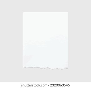 Torn paper edges. Ripped paper texture. Paper tag. White paper sheet for background with clipping path. Vector illustration.