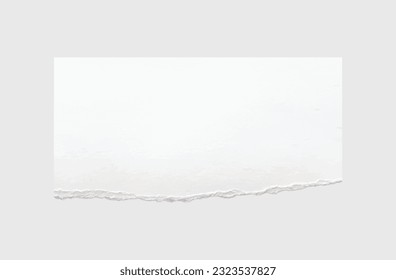 Torn paper edges. Ripped paper texture. Paper tag. White paper sheet for background with clipping path. Vector illustration.