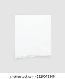 Torn paper edges. Ripped paper texture. Paper tag. White paper sheet for background with clipping path. Vector illustration.