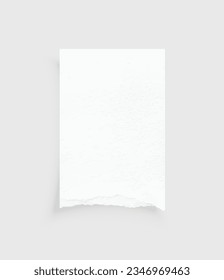 Bordes de papel rotos. Textura de papel despojado. Etiqueta de papel. Hoja de papel blanco para el fondo con la ruta de recorte. Ilustración vectorial.