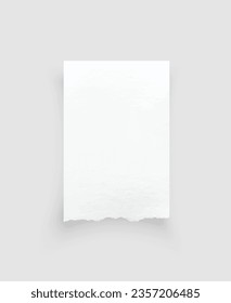 Torn paper edges. Ripped paper texture. Paper tag. White paper sheet for background with clipping path. Vector illustration.