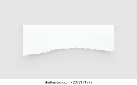 Torn paper edges. Ripped paper texture. Paper tag. White paper sheet for background with clipping path. Vector illustration.