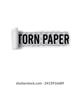 Bordes de papel rotos, ilustración vectorial