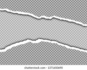 torn paper edges, vector realistic horizontally ripped paper 