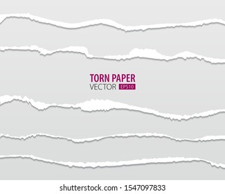 Torn paper edges. Vector torn paper with ripped edges on a transparent background for web and print