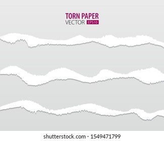 Torn paper edges. Vector torn paper with ripped edges on a transparent background for web and print