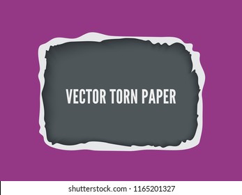 Torn paper frame. Realistic vector paper with ripped edges