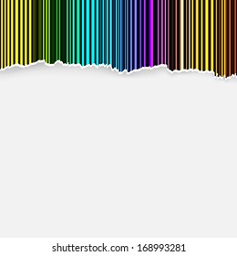 The torn paper / The funky piece of blank torn paper / The torn paper background 
